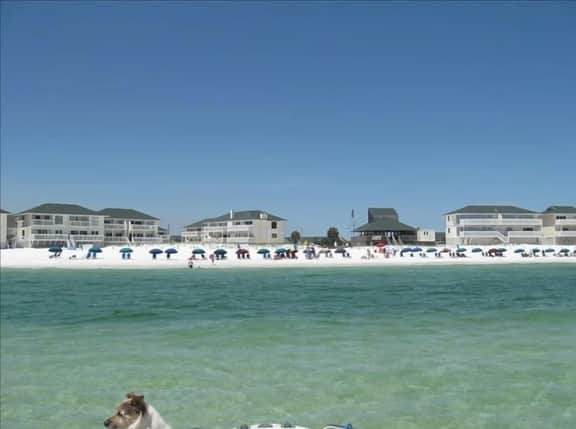 Sandpiper Cove, unit 1228 - Image 5