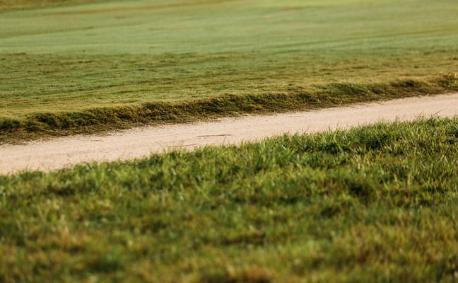 Golf cart path winding through a sunny fairway